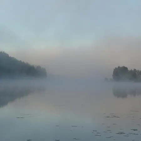 Koivurannan Koivu * Mikkeli