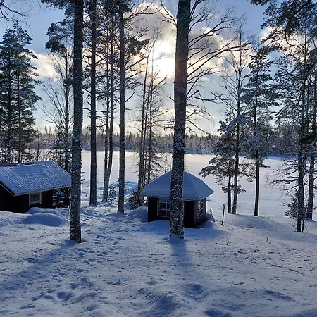 Koivurannan Lomamoekit Koivu
